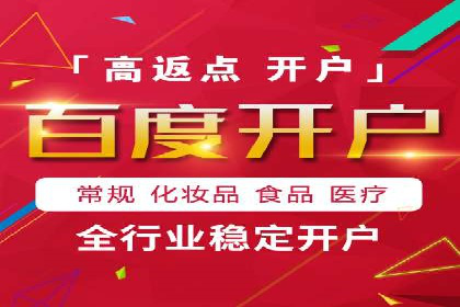 XX行业竞价广告的投放策略与效果分析